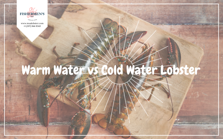 Cold vs. Warm Water Lobster: Buying Tips for Best Tails